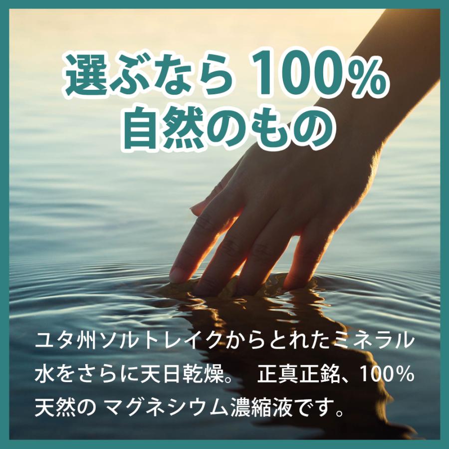 マグネシウム ミネラル濃縮液 [ 約16ヵ月分 50ml×10個 ] 塩水湖水 高