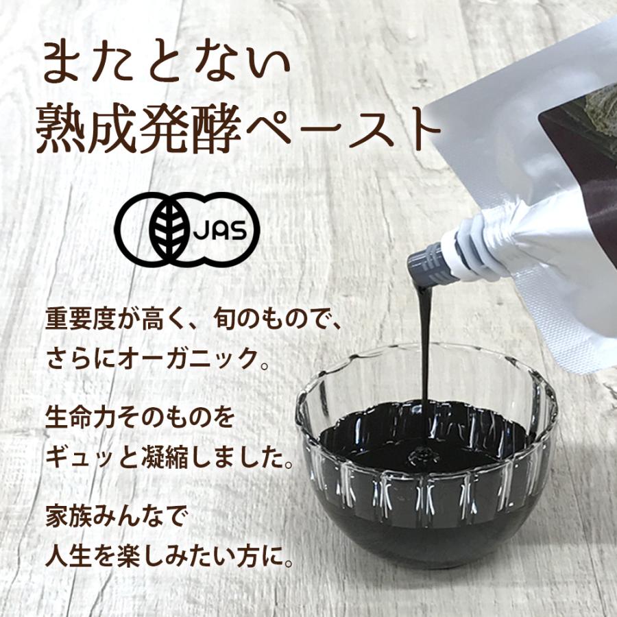 健康食品の原料屋 有機 オーガニック 植物発酵エキス ペースト 酵素