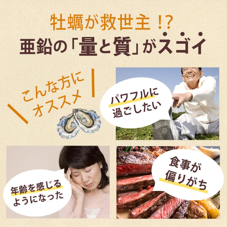亜鉛 を含んだ 国産 牡蠣肉 エキス 粉末 [ 約330日分 40g×10袋 ] 広島県産 カキ のみ使用 ミネラル 鉄分 サプリ (栄養機能食品)_2