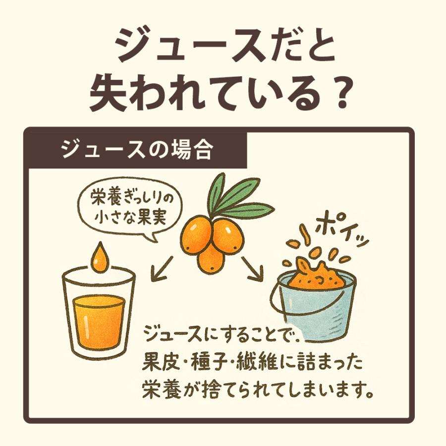 有機 サジー 100% 粉末 サプリ [ 30g×5袋 ] サジージュース では摂れない栄養もたっぷり 鉄分補給 鉄分サプリの画像