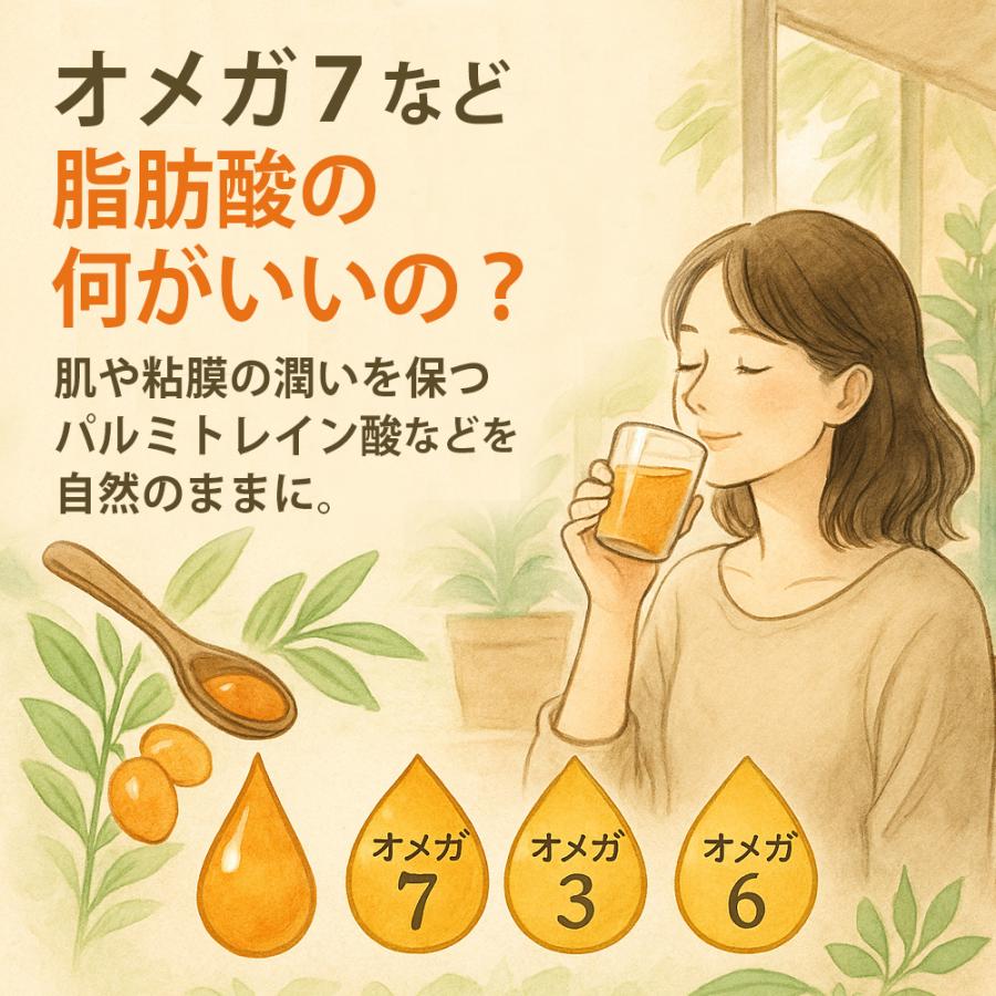 有機 サジー 100% 粉末 サプリ [ 30g×5袋 ] サジージュース では摂れない栄養もたっぷり 鉄分補給 鉄分サプリの画像