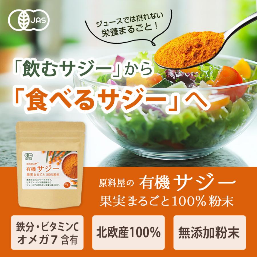 有機 サジー 100% 粉末 サプリ [ 30g×10袋 ] サジージュース では摂れない栄養もたっぷり 鉄分補給 鉄分サプリの画像