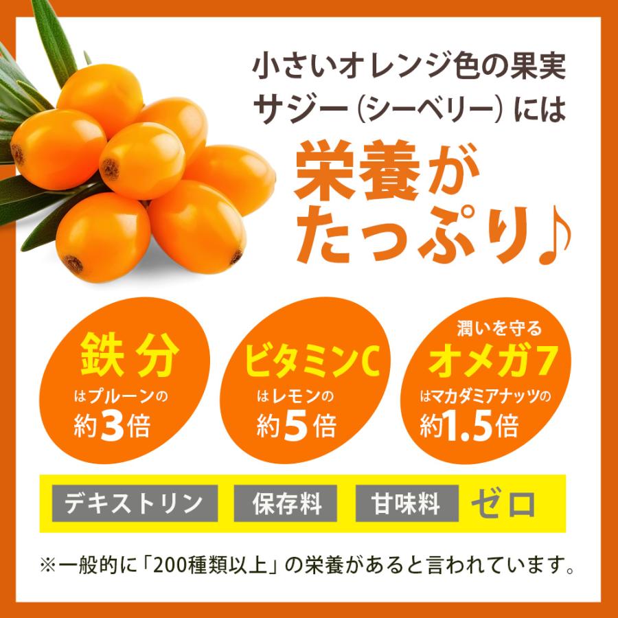 有機 サジー 100% 粉末 サプリ [ 30g×10袋 ] サジージュース では摂れない栄養もたっぷり 鉄分補給 鉄分サプリの画像