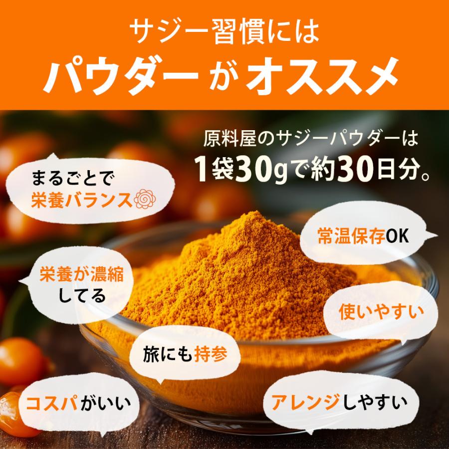 有機 サジー 100% 粉末 サプリ [ 30g×10袋 ] サジージュース では摂れない栄養もたっぷり 鉄分補給 鉄分サプリの画像