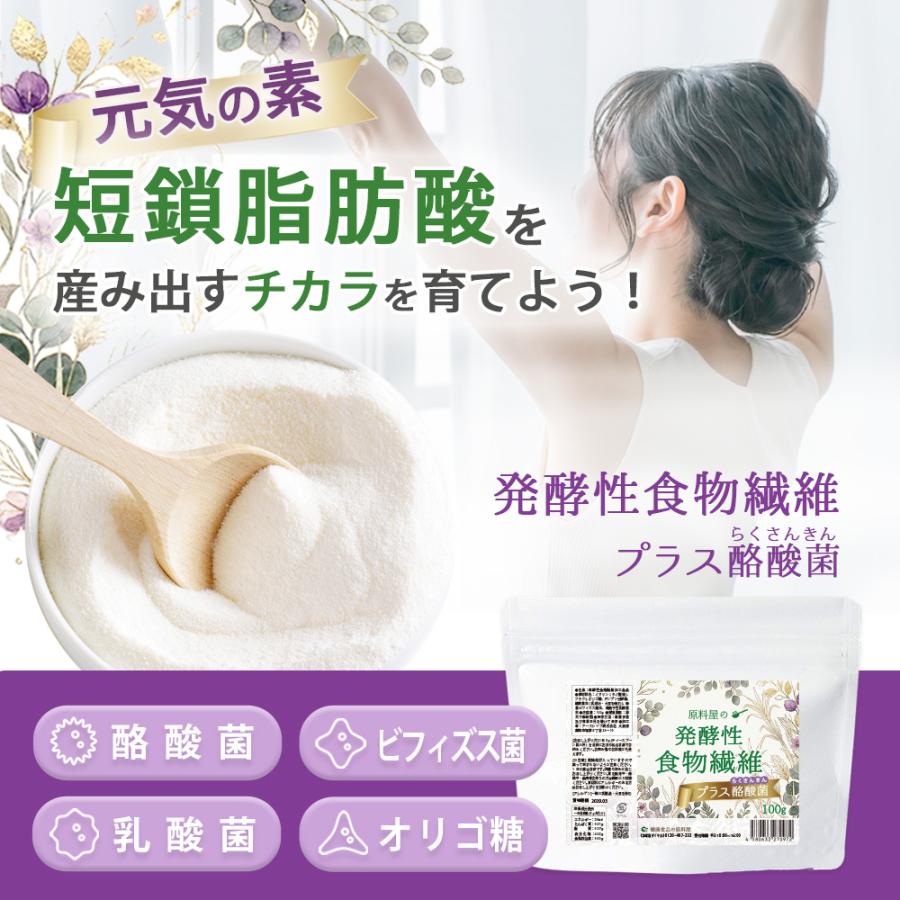 発酵性 食物繊維 プラス 酪酸菌 [ お徳用 1kg×1袋 ] 短鎖脂肪酸 乳酸菌 