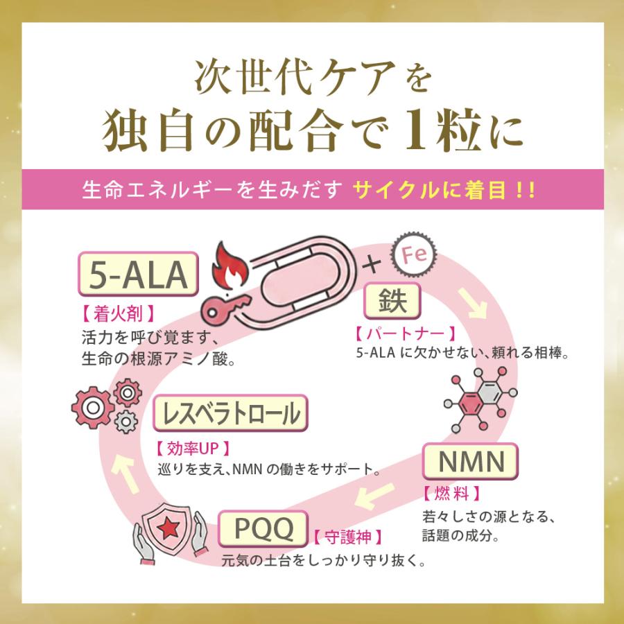 5-ALA サプリ NMN レスベラトロール PQQ 4成分＋鉄を1粒に凝縮 [ 30粒 