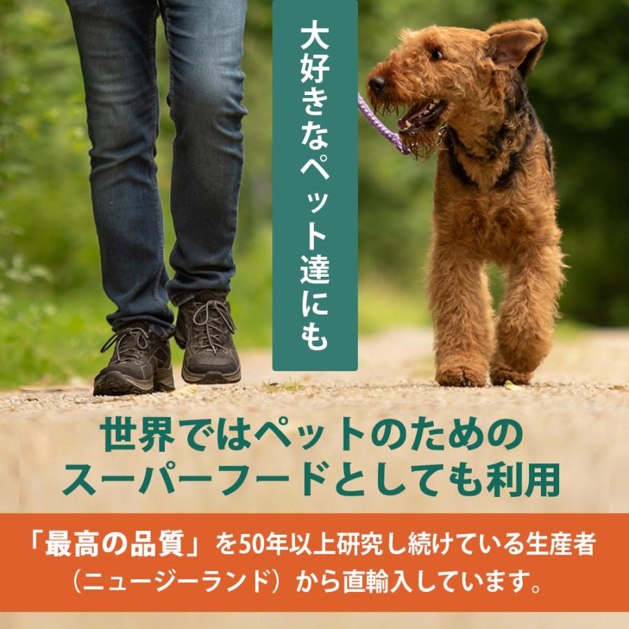 健康食品の原料屋 緑イ貝 ミドリイガイ 100% フリーズドライ 非加熱 粉末 お徳用 1kg×1袋 |  | 04