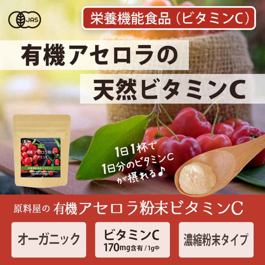 有機 アセロラ 粉末 天然 ビタミンC サプリ [ 1日1gでOK 約5ヵ月分 30g オーガニック植物性サプリメント 30g×3袋