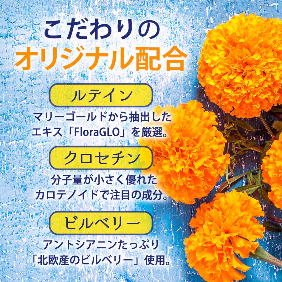 健康食品の原料屋 ルテイン ブルーベリー プラス 粒 ソフトカプセル エキス サプリメント 約5ヵ月分 60粒×5袋_3
