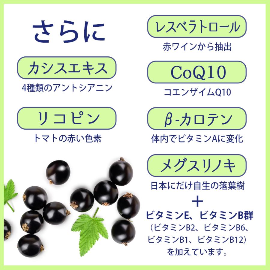 健康食品の原料屋 ルテイン ブルーベリー プラス 粒 ソフトカプセル エキス サプリメント 約5ヵ月分 60粒×5袋_4