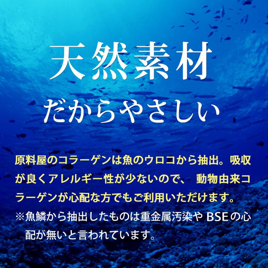 健康食品の原料屋 マリンコラーゲン 粉末 パウダー フィッシュ コラーゲン サプリメント お徳用 1kg×1袋の画像
