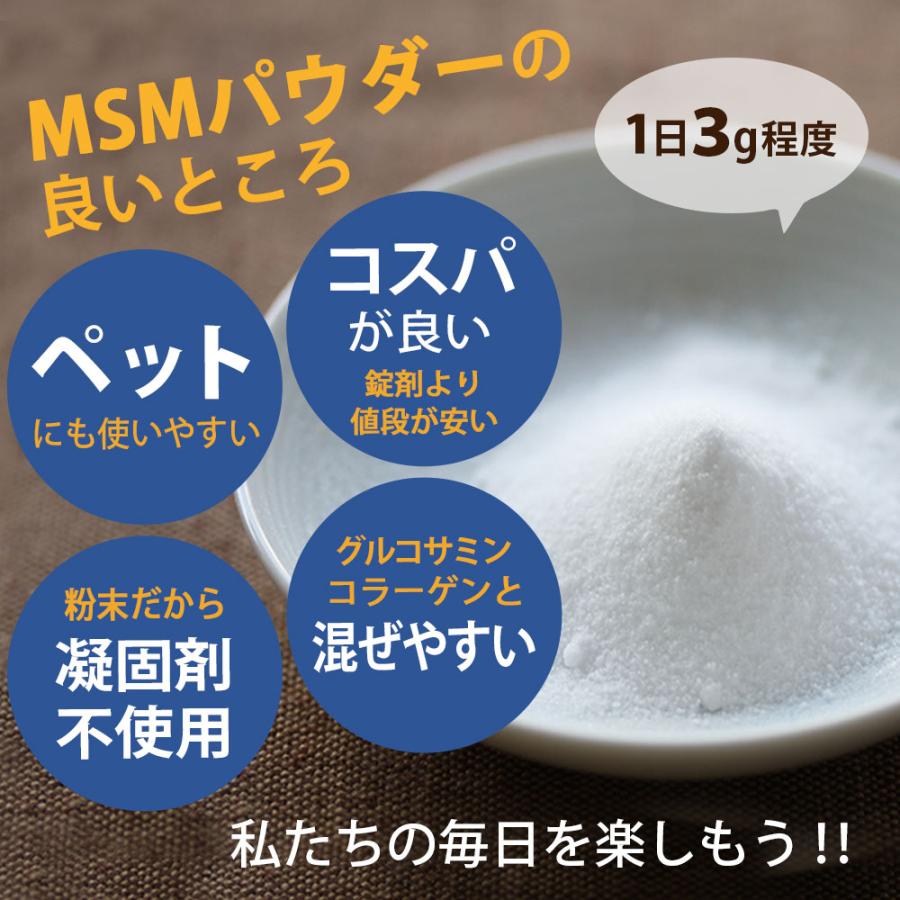 MSM 粉末 パウダー 高純度 99.9% サプリメント [ 約66日分 200g×1袋 