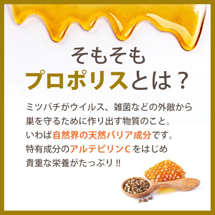 健康食品の原料屋 プロポリス 純度100％ 粉末 非加熱 サプリメント ブラジル産 約16ヵ月分 15g×10袋 プロポリス