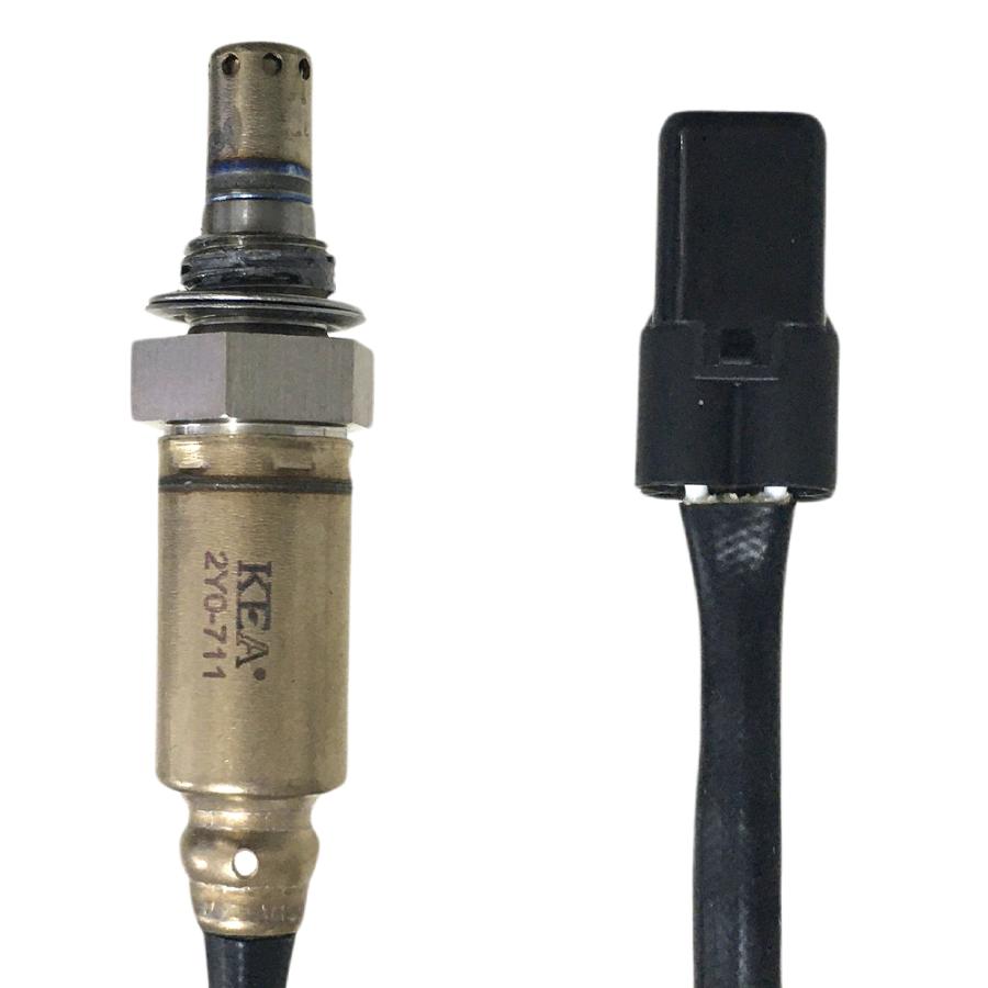 チョク クエスチョン ミッド / Question Mid Shoes （コアブラック