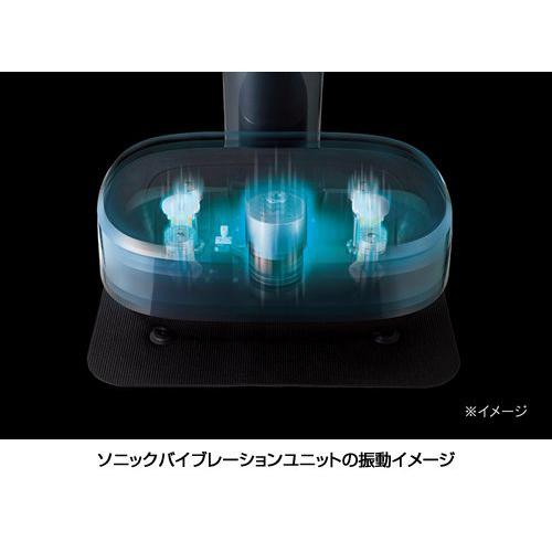 DT-C1000 フジ医療器 FUJIIRYOKI [家庭用音波振動マシーン ダイエットコアトレーナー コア ブラック] (配達のみ　設置　リサイクル不可） |  | 01