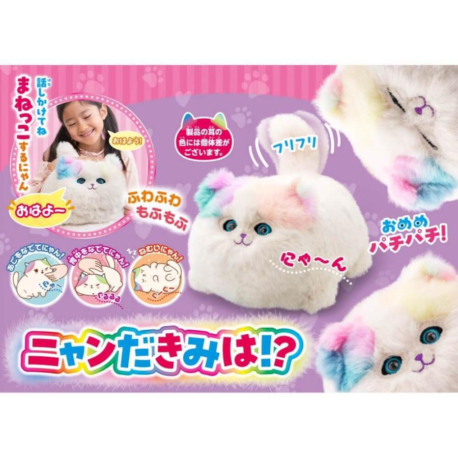正規販売店】ニャンだきみは！？ ねこ ぬいぐるみ : サカイ卸売