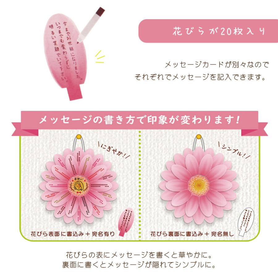フラワータペストリー マーガレット |  | 01