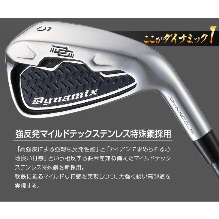 ゴルフ メンズ クラブアイアンセット ＃5から＃9 PW 6本 アイアン ダイナミクス ワークテック飛匠シャフト仕様 R S_2