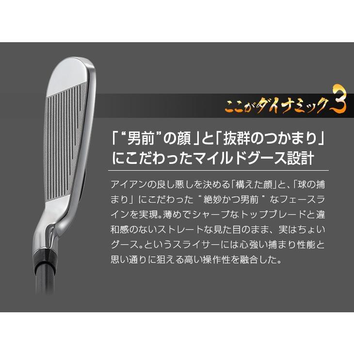 ゴルフ メンズ クラブアイアンセット ＃5から＃9 PW 6本 アイアン