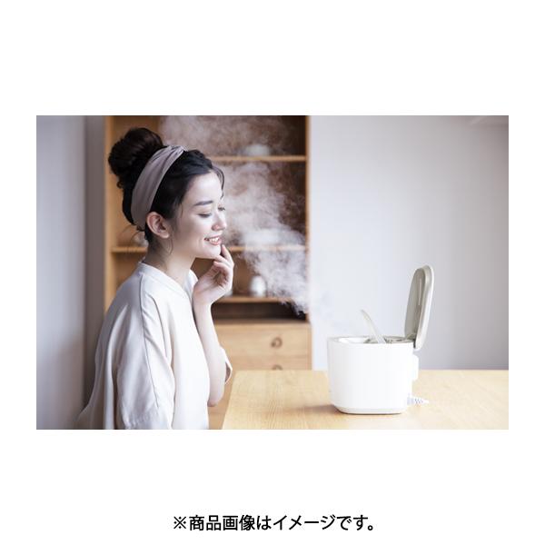 EH-SA0B-N パナソニック Panasonic [スチーマー ナノケア 温冷・化粧水