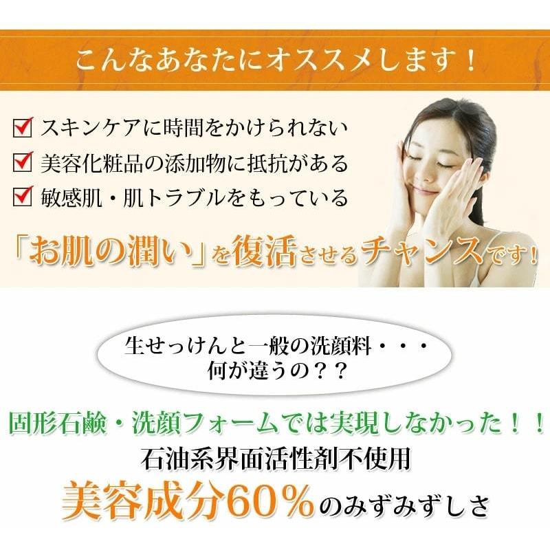 ex-mikansoap みかんの生せっけん 70g : サカイ卸売センター