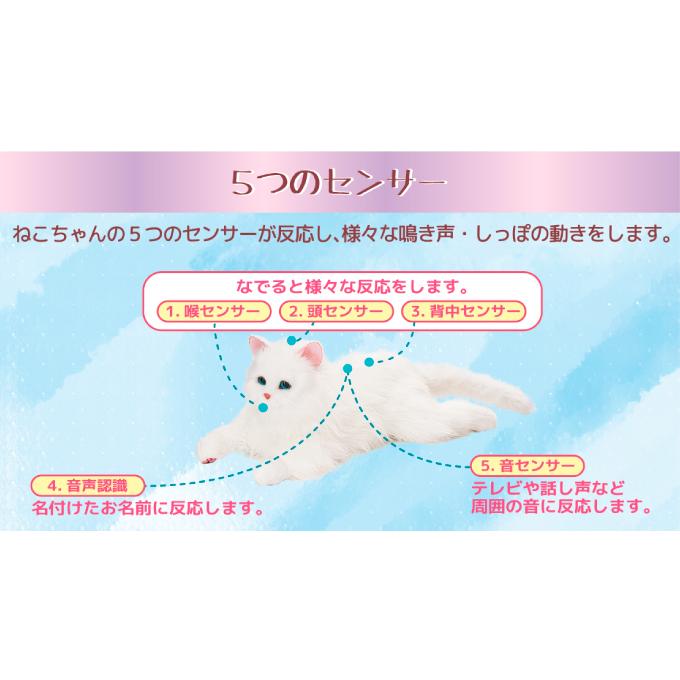 ねこちゃんさん専用 ねこに転生したおじさん てんしゃいプンちゃんのショート