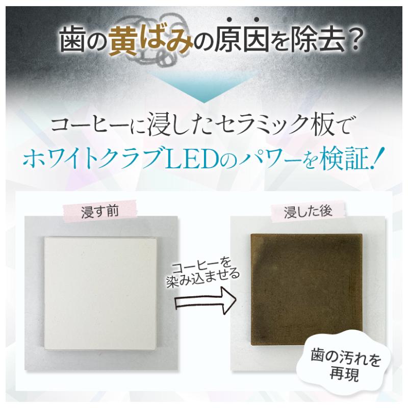 ホワイトニング LED照射器 本体のみ ホームホワイトニング ホワイトニング LED照射器 本体のみ ホームホワイトニング