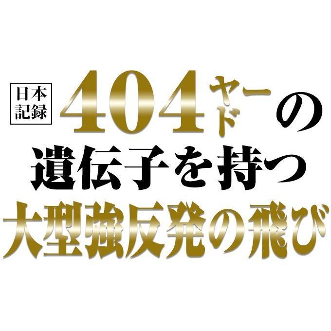 ゴルフ クラブ ドライバー メンズ 46インチ ワイルドマキシマックス USTマミヤ製 V-Spec α-4 シャフト仕様 9.5度 10.5度 |  | 05