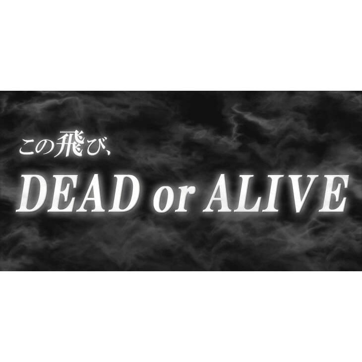 ゴルフ クラブ ドライバー ワルド メンズ USTマミヤ V-Spec α-4シャフト仕様 9.5度 10.5度 R SR S 46インチ ルール |  | 04