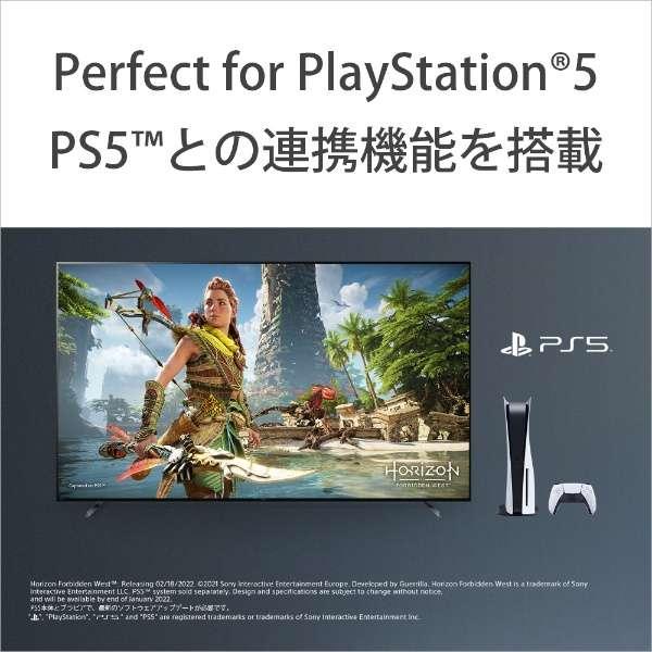 XRJ-55A80L SONY BRAVIA 有機ELテレビ 55V型 4Kチューナー内蔵