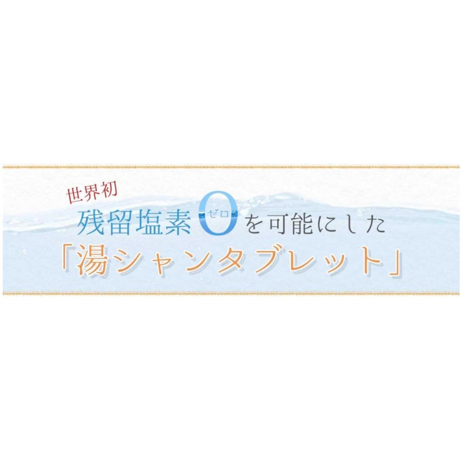 湯シャンタブレット　シャワーヘッド+タブレット10錠入り ノーシャンプー浴びる美容シャワーで、汚れだけを優しく洗浄　ノープー　HOTTAB　イオンシャワー｜keep｜13