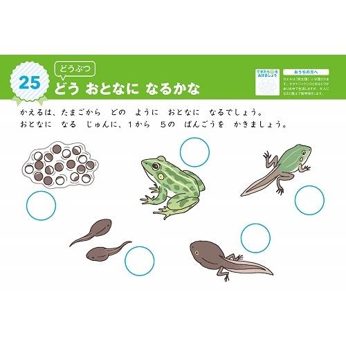 モンテッソーリ式ドリル りか 文化教育(3冊までメール便可) 4・5・6歳