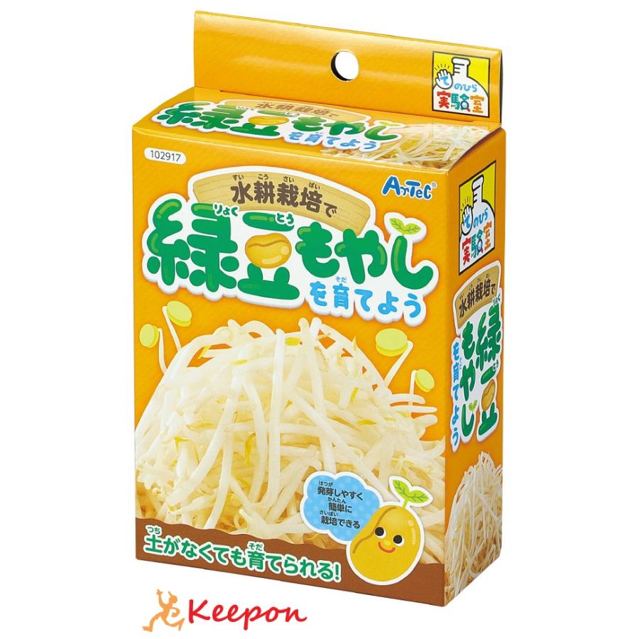 栽培キット 自由研究 水耕栽培で緑豆もやしを育てよう