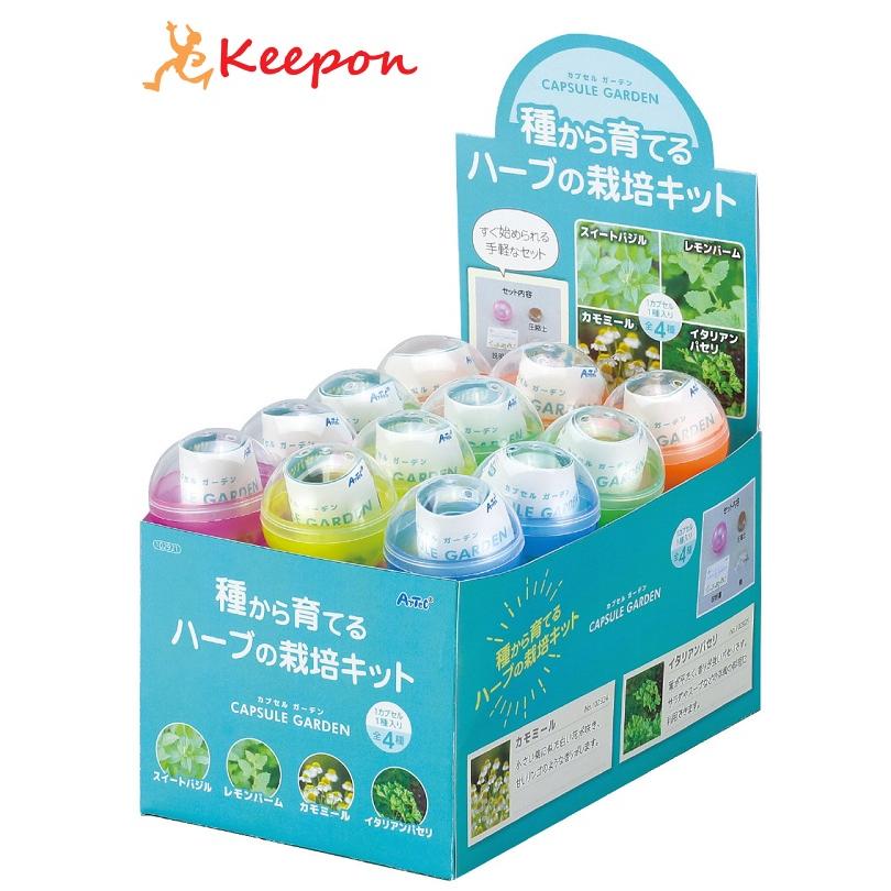 カプセルガーデンBOXセット アーテック 手作り キット 栽培キット 家 自宅 家庭菜園 スイートバジル レモンバーム カモミール イタリアンパセリ | 