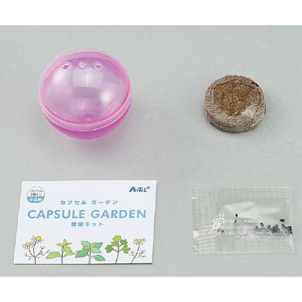カプセルガーデンBOXセット アーテック 手作り キット 栽培キット 家 自宅 家庭菜園 スイートバジル レモンバーム カモミール イタリアンパセリ |  | 02