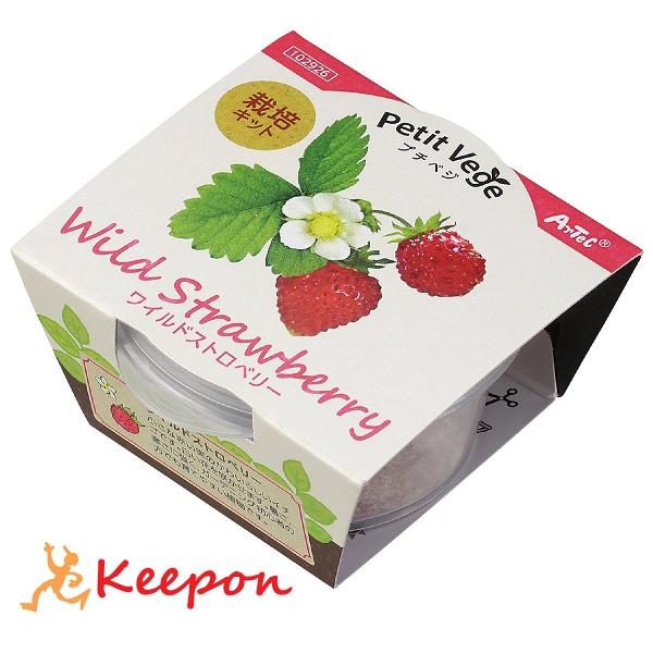 プチベジ ワイルドストロベリー アーテック 手作り キット 栽培キット 家 自宅 家庭菜園 いちご イチゴ | 