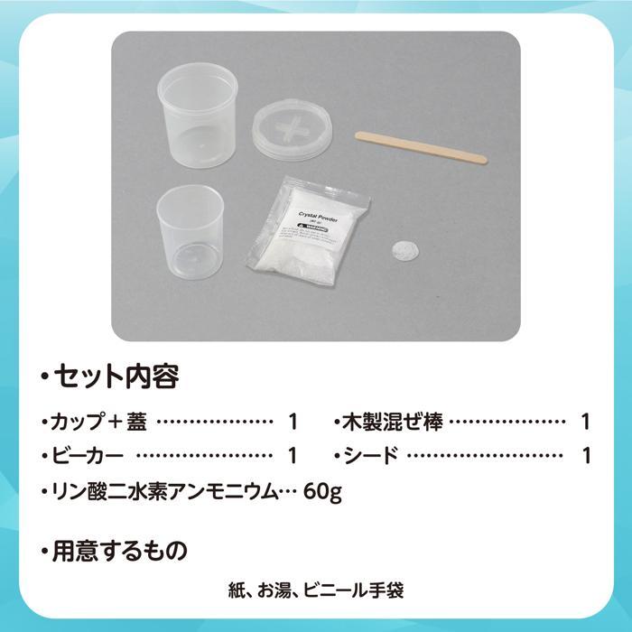 クリスタル結晶育成キット アーテック ガールズクラフト 夏休み 冬休み 工作 自由研究 女の子 男の子 ワークショップ 小学生 |  | 03