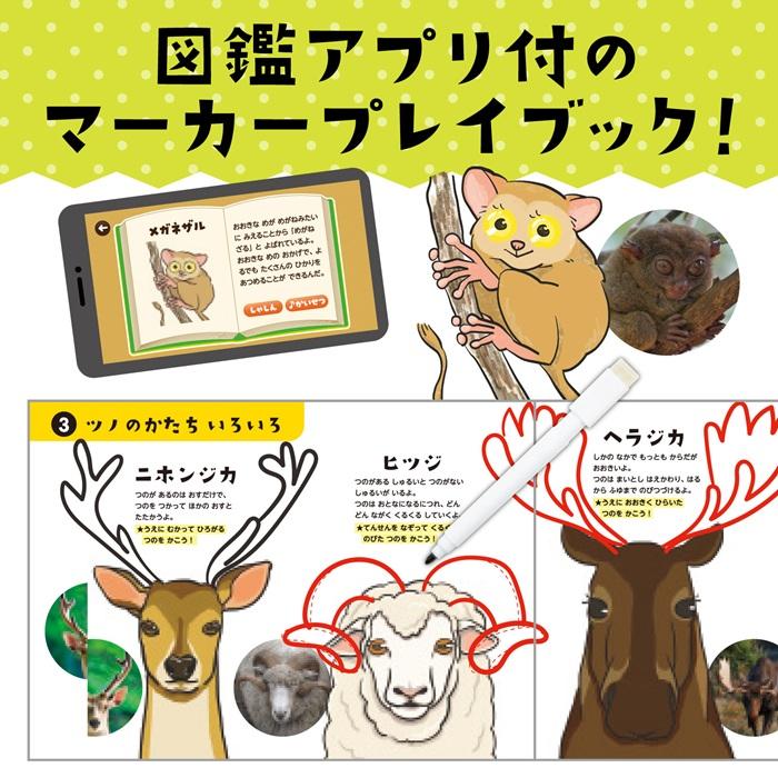 まねしてかいて いきものはかせ (メール便可) アーテック 知育ブック おもちゃ 幼稚園 保育園 小学生 子ども 子供 幼児 知育玩具 絵本 プレイブック 動物 アプリ |  | 04