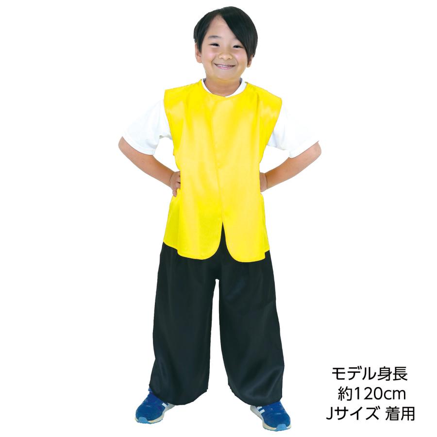 衣装ベース ソフトサテン ベスト Sサイズ(小学校高学年向け)(10個までメール便可) 5色から選択 アーテック 発表会 小学生 子ども 幼稚園 保育園 カラー 衣装 |  | 11