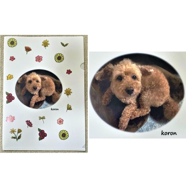 【10個から注文可能】オリジナルクリアファイル 加工費込(30個までネコポス可) 卒業 記念品 プレゼント 写真 名入れ 作成 卒園 幼稚園 保育園 小学校 入園 |  | 10