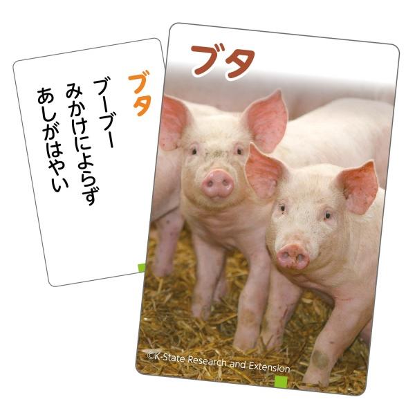 これはなんの音?かるた?いきもの? (3個までメール便可) アーテック カードゲーム 勉強 教材 カルタ 小学生 幼稚園 保育園 子ども お正月 学習 動物 鳴き声 |  | 02