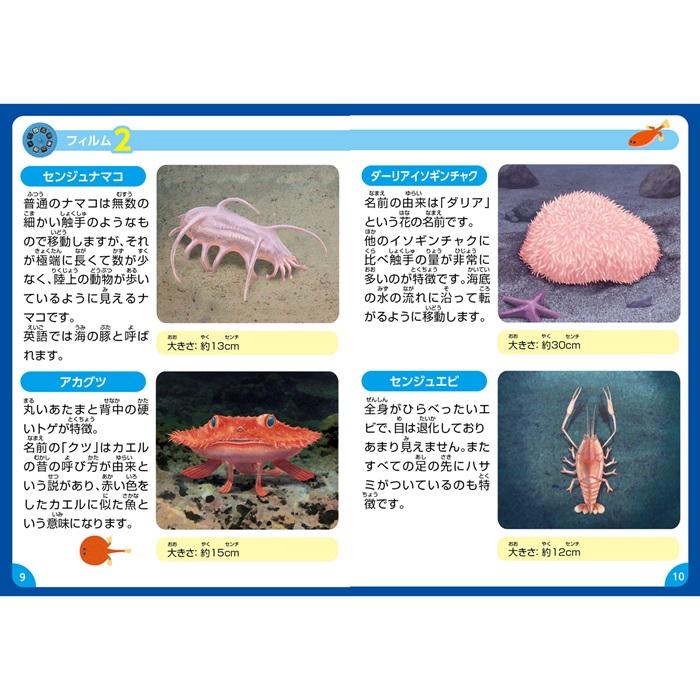 ふしぎな深海のいきものプロジェクター アーテック 学習 生き物 観察 生物 動物 珍しい 幼稚園 保育園 子ども スクリーン |  | 03