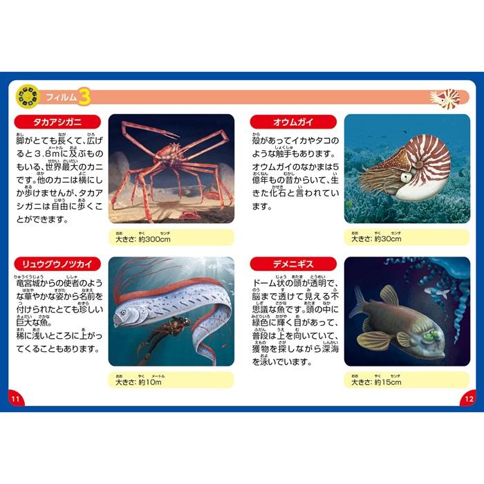 ふしぎな深海のいきものプロジェクター アーテック 学習 生き物 観察 生物 動物 珍しい 幼稚園 保育園 子ども スクリーン |  | 04
