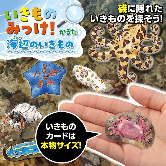 いきものみっけ！かるた うみべのいきもの(メール便可) アーテック カードゲーム 小学生 幼稚園 子ども おもしろ お正月 生き物 海 |  | 01