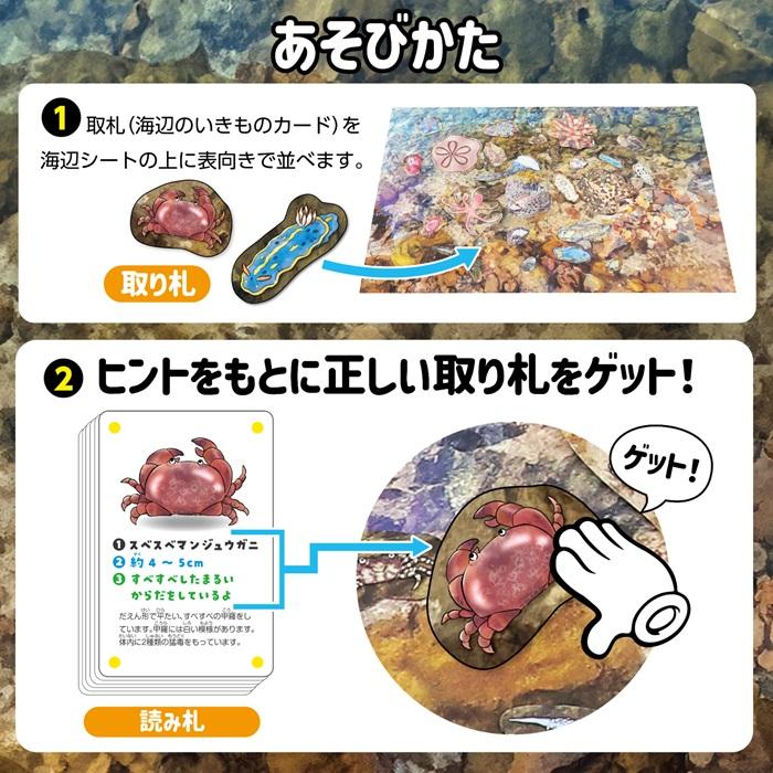 いきものみっけ！かるた うみべのいきもの(メール便可) アーテック カードゲーム 小学生 幼稚園 子ども おもしろ お正月 生き物 海 |  | 03