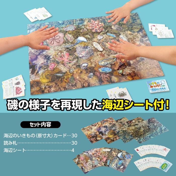 いきものみっけ！かるた うみべのいきもの(メール便可) アーテック カードゲーム 小学生 幼稚園 子ども おもしろ お正月 生き物 海 |  | 04