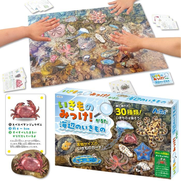 いきものみっけ！かるた うみべのいきもの(メール便可) アーテック カードゲーム 小学生 幼稚園 子ども おもしろ お正月 生き物 海 |  | 05