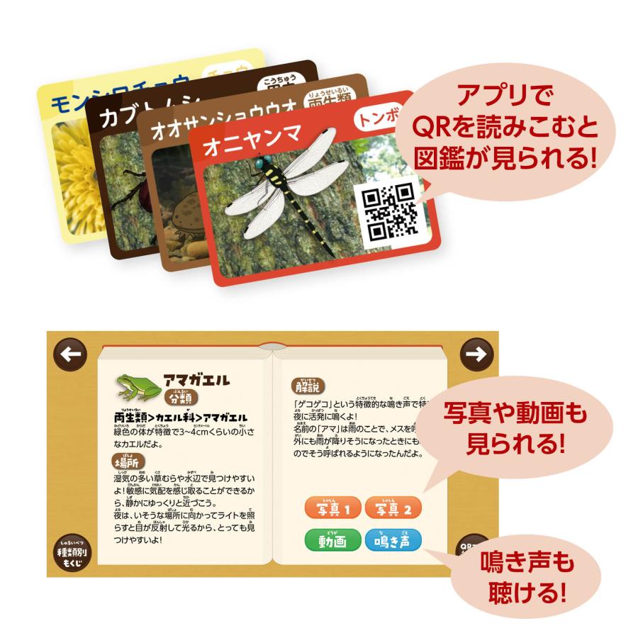 探検！いきものはっけんすごろく アーテック 知育玩具 幼児向けおもちゃ ボードゲーム 双六 幼稚園 保育園 小学生 子ども イベント お正月 生き物 |  | 02