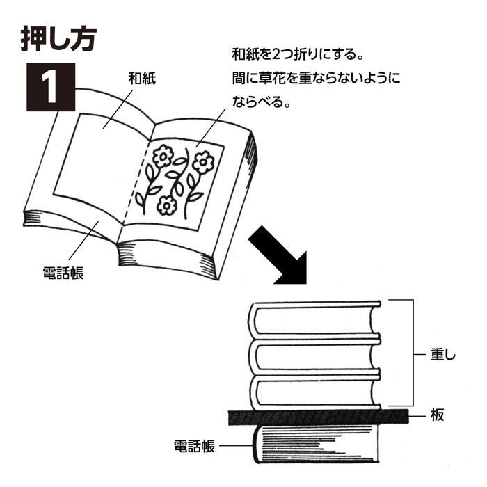 押し花セット(メール便可) 　アーテック キット 押し花 手作り ハンドメイド しおり クラフト 工作 ハガキ ポストカード |  | 04