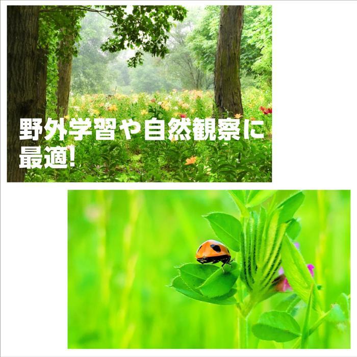 8・30スコープ（新型ブリスター仕様） 科学工作　(メール便可) 観察　理科 |  | 05